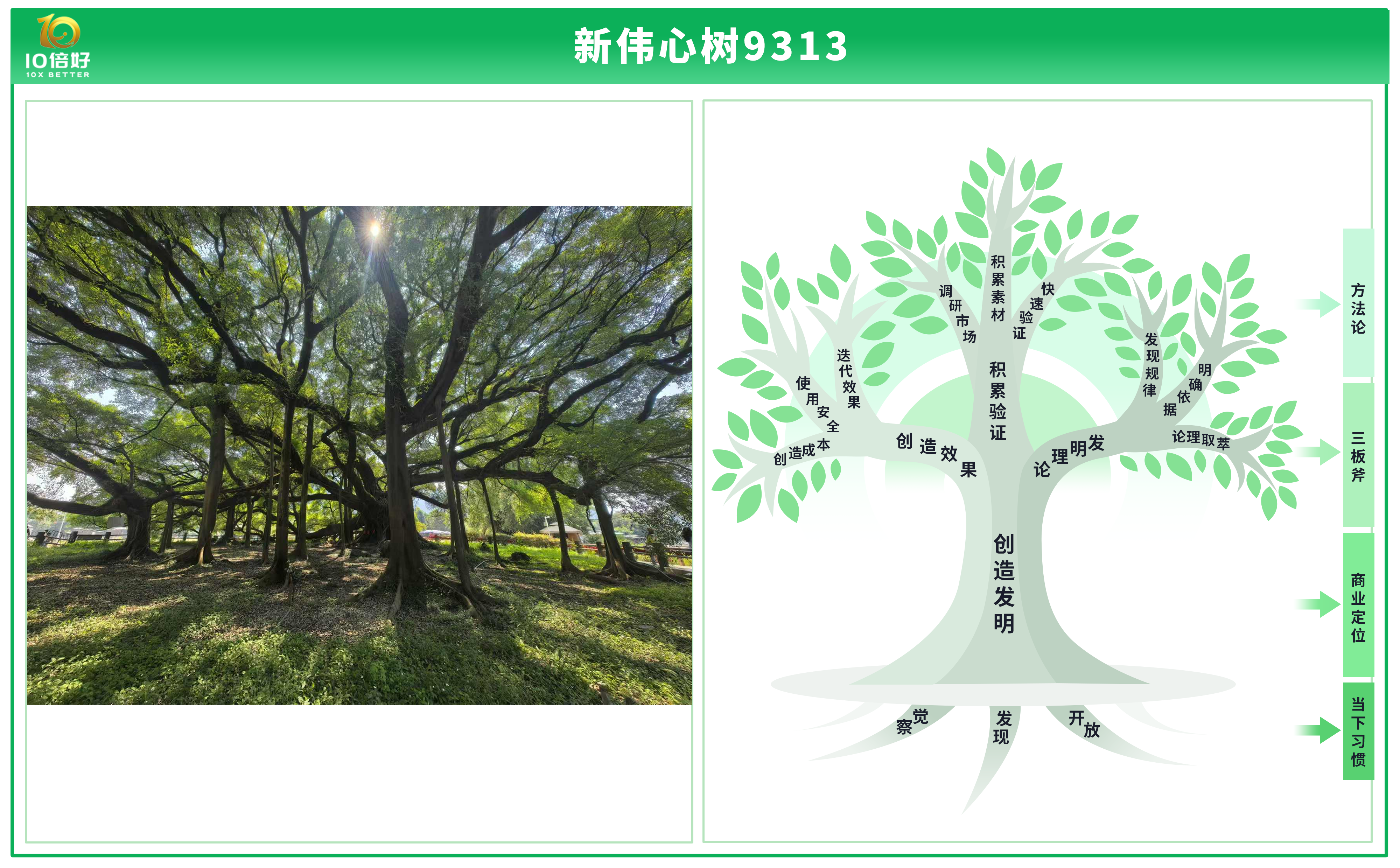 ../../../../../../../_images/%E6%96%B0%E4%BC%9F%E5%BF%83%E6%A0%91.png